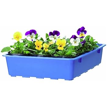 Amazon | 大和プラスチック 育苗箱 新A型 505×350×H85 ブルー | 苗箱